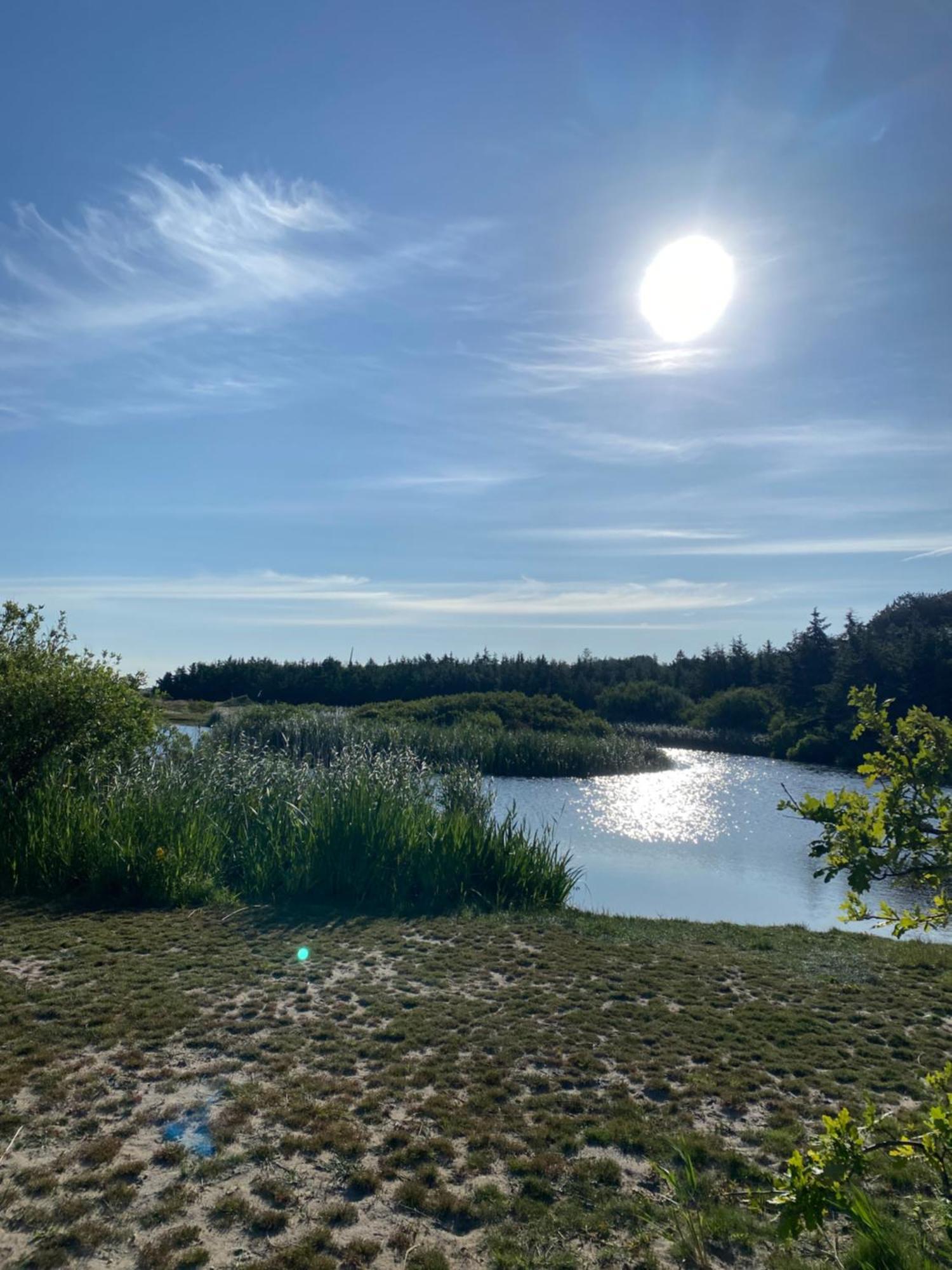 Zijperweg Vakantiehuis Vlakbij Zee, Strand En Bos Petten Exterior foto